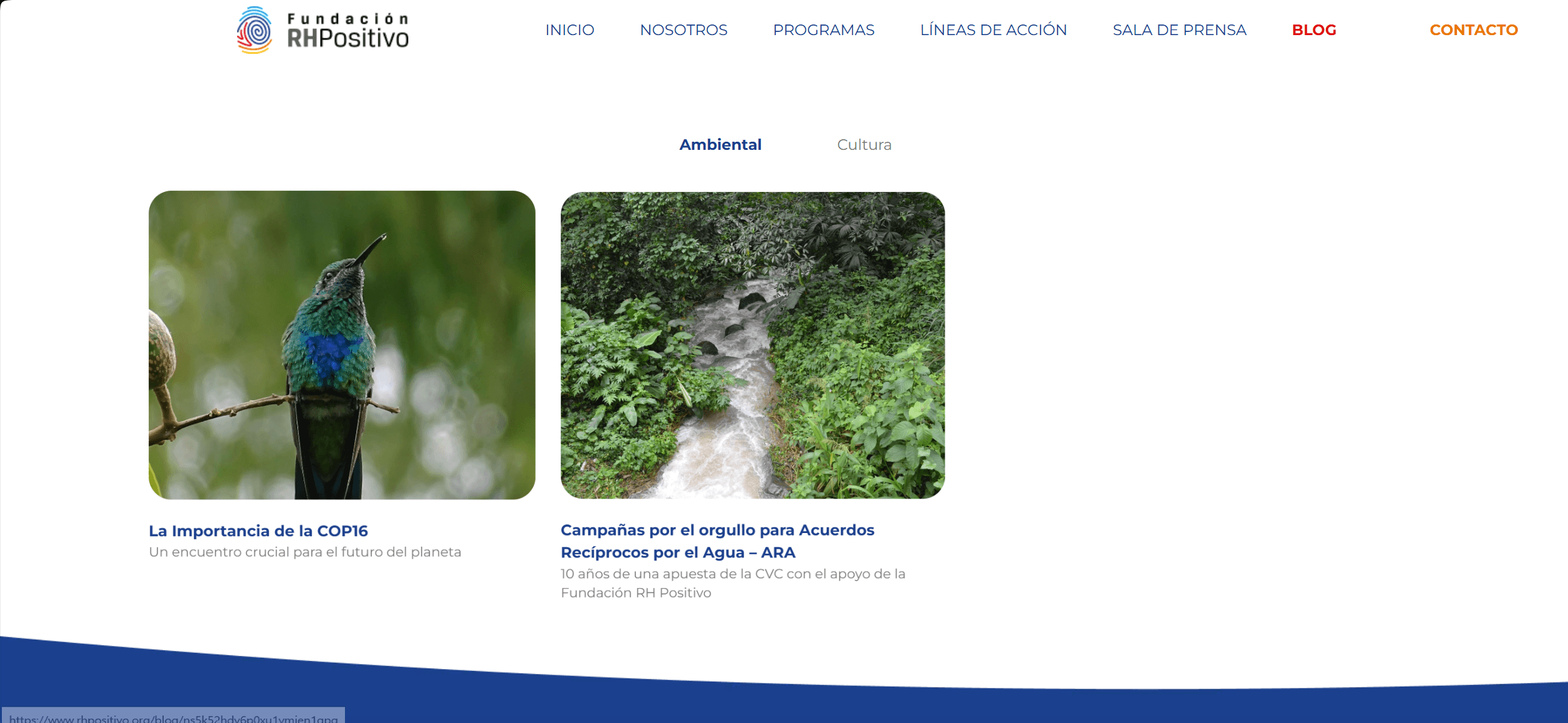 FUNDACIÓN RHPOSITIVO - Imagen 19